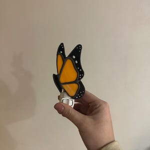 il_300x300.6612449658_6ky9.jpg