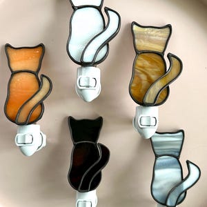 il_300x300.6910263027_ojcv.jpg